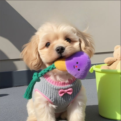 Top view of Petkin plush head dog toy with rope for tossing