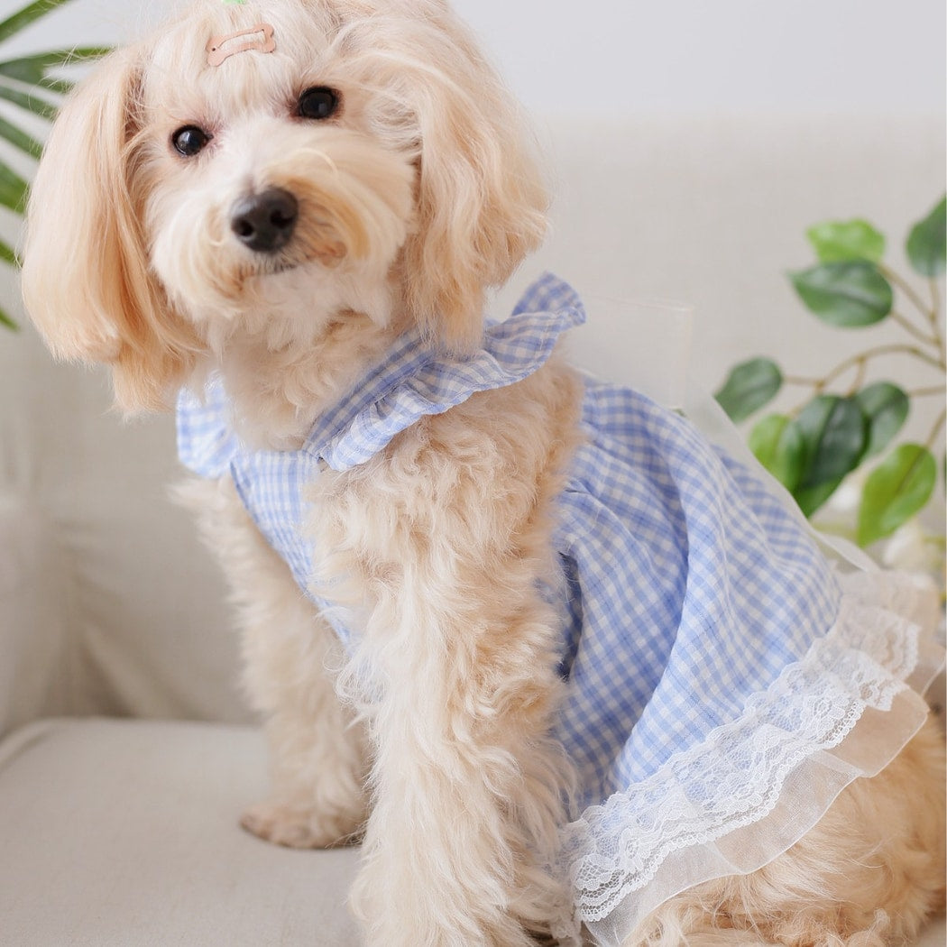 Ozzie - Ruffle Bow Accent Plaid Pet Dress