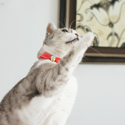 Mokka - Stripe Design Adjustable Collar