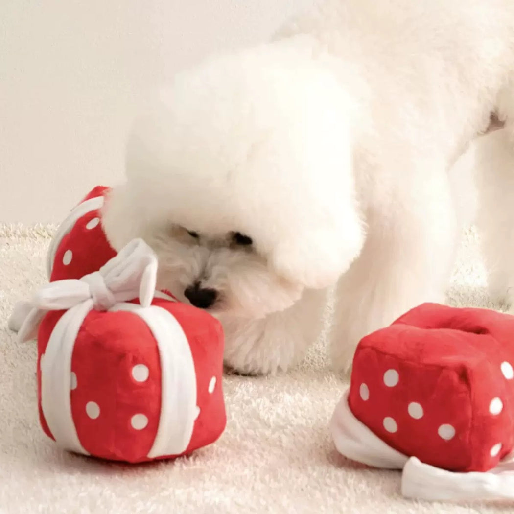 Petkin - Birthday Cupcake and Gift Box Plush Dog Toy