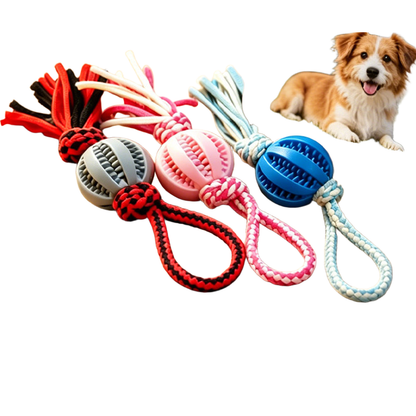 Red, pink, and blue ball-and-rope dog toys displayed together on a tabletop