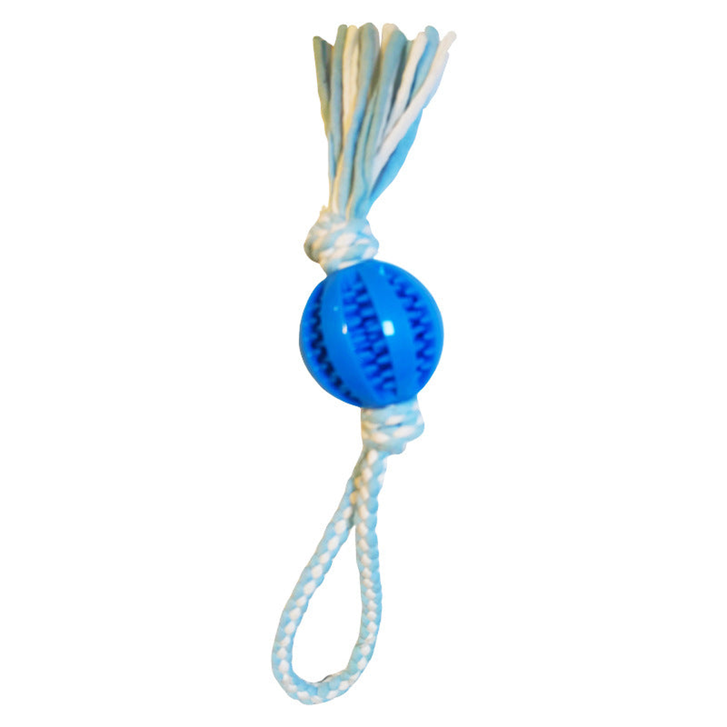 Blue ball-and-rope dog toy, front view