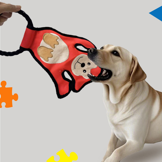 Dog gripping the red monkey rope toy while its loop is held