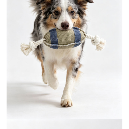Dog carrying the beige and blue oval rope toy