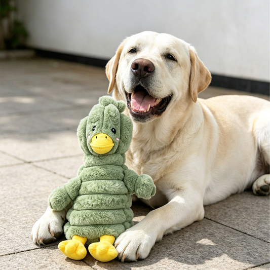 Green duck plush dog toy sitting between a dog's front legs