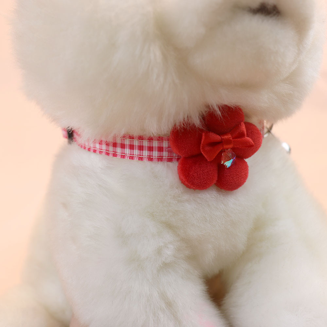 Red gingham flower collar worn around a white cat's neck