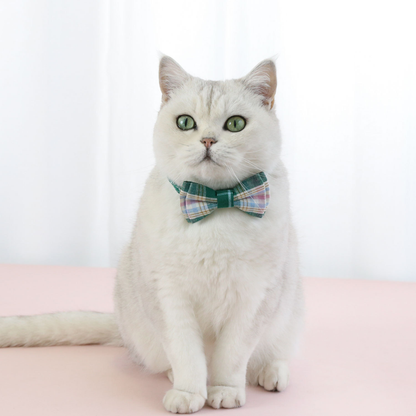 White cat wearing green plaid bow-style cat neckwear