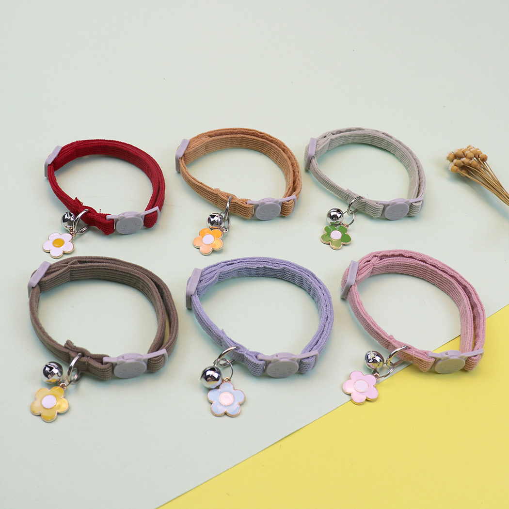 Six colorful cat collars arranged in loops with flower charms and bells