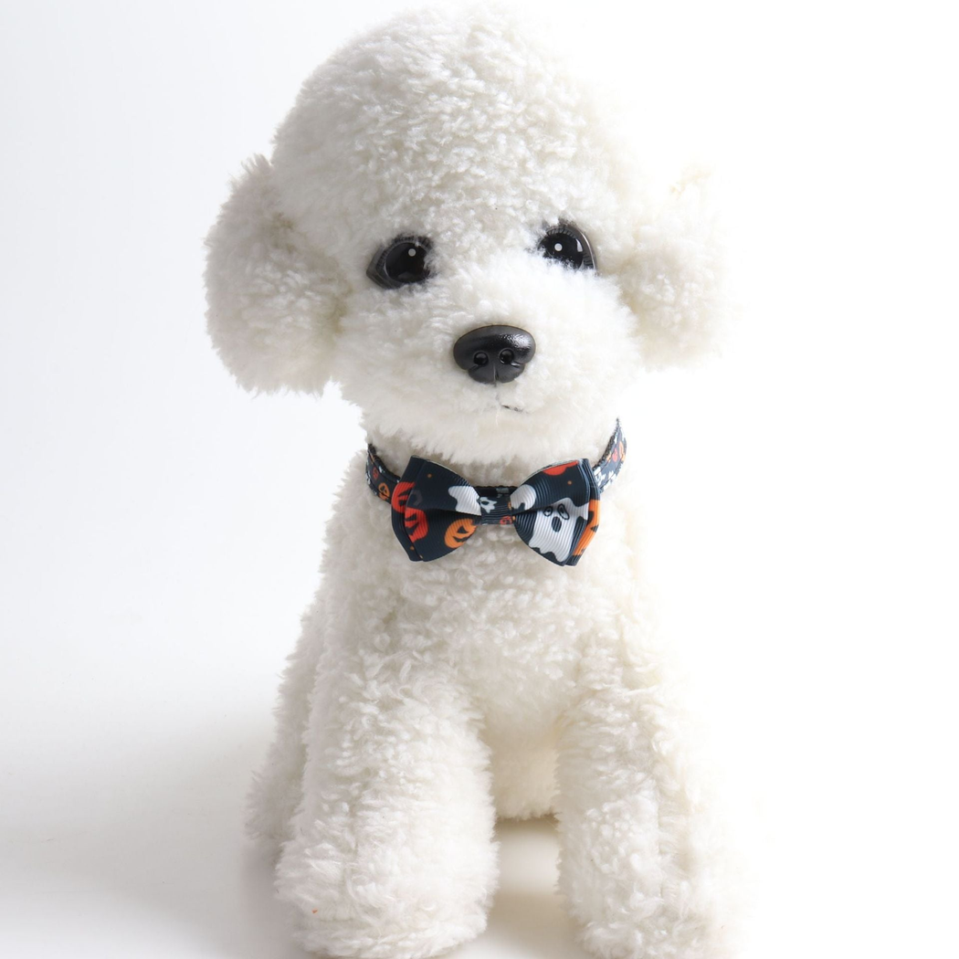 White dog wearing a black pumpkin-and-ghost bow collar
