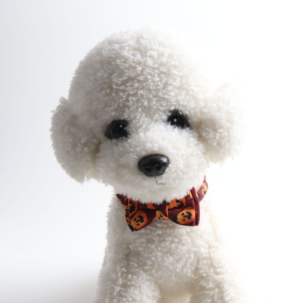 White dog wearing an orange pumpkin-print bow collar