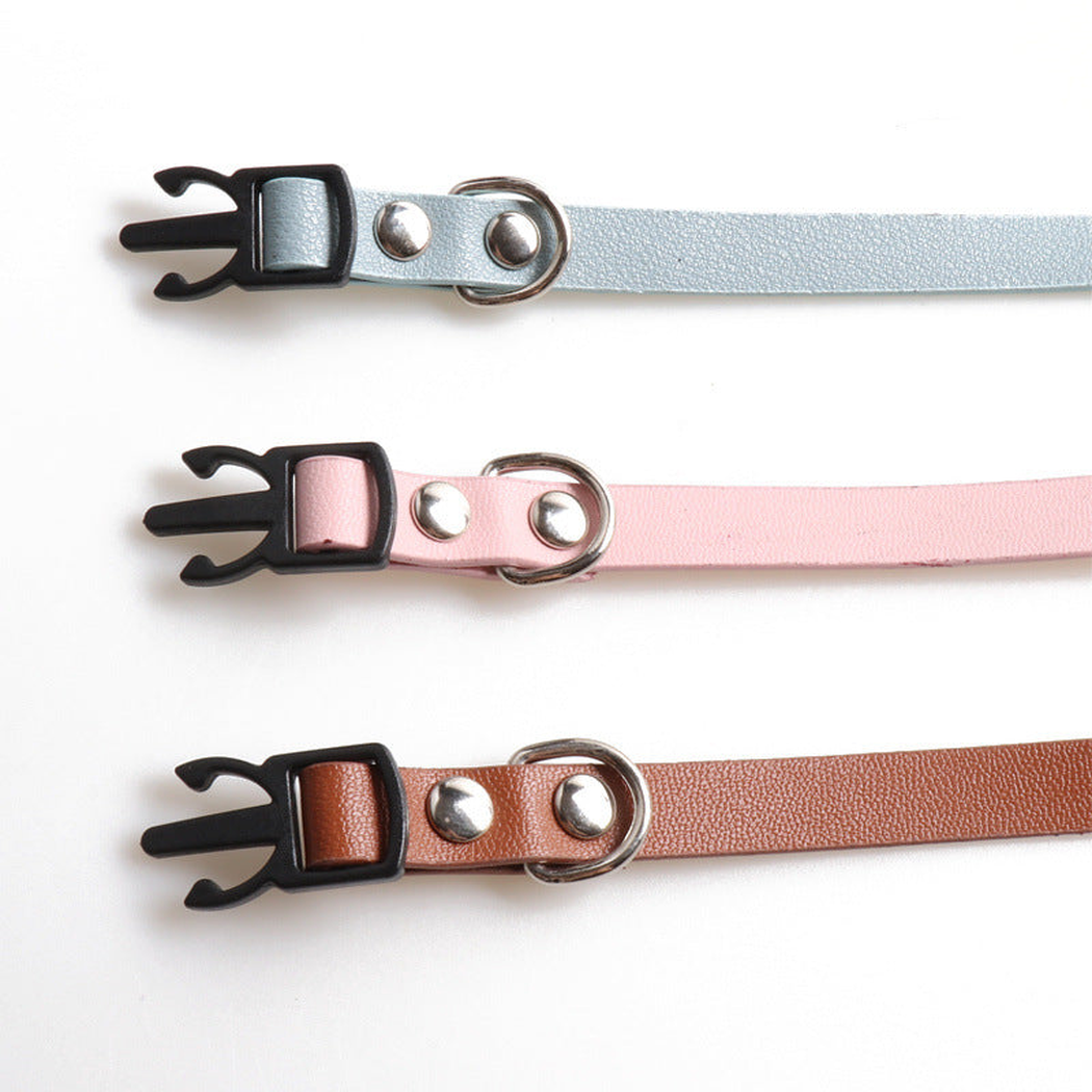 Close-up of cat collar buckles, rivets and D-rings in three colors