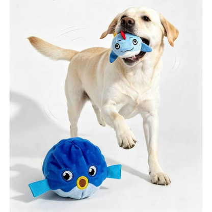 Dog carrying a light blue dolphin toy beside a blue pufferfish toy
