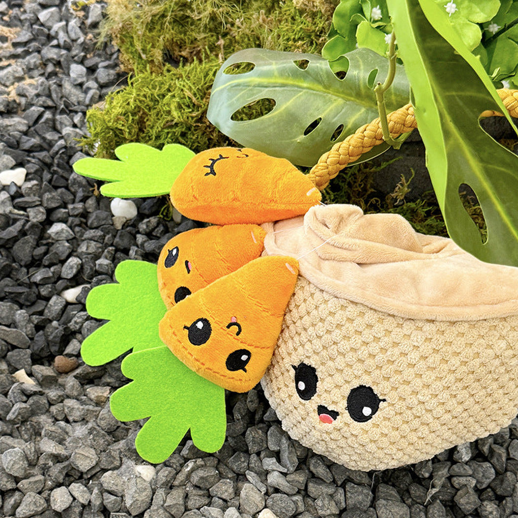 Carrot basket dog toy arranged outdoors on dark stones