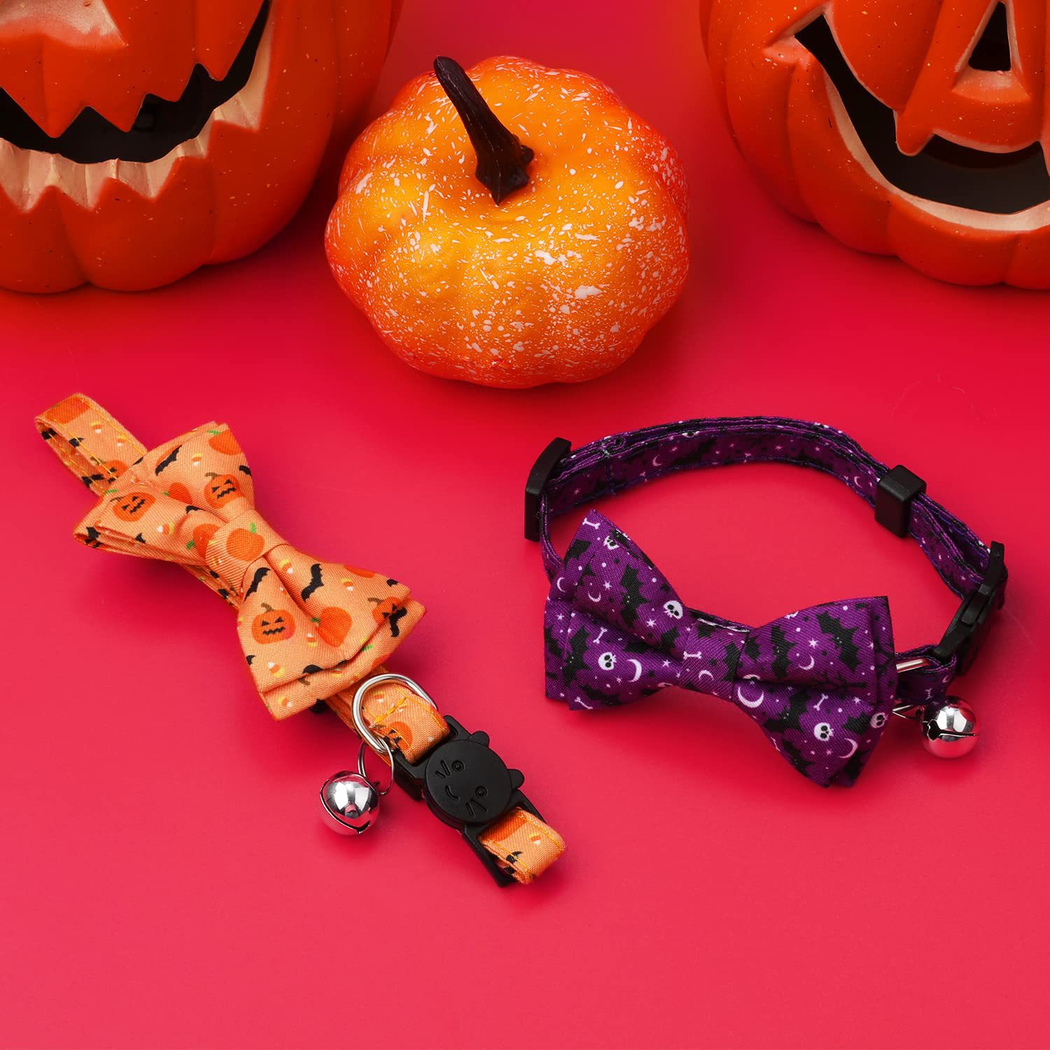 Orange Bow and Purple Bow cat collars arranged with pumpkin decorations