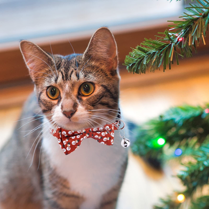 Cat wearing a red snowman-pattern bow collar beside holiday decorations
