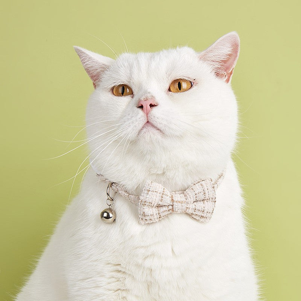 Beige plaid bow cat collar with bell worn by a white cat