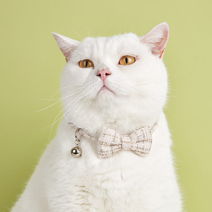 Plaid bow cat collar with bell worn by a white cat