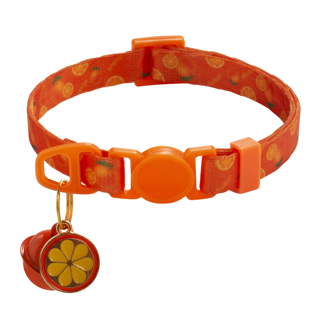 Orange cat collar with bell and orange charm