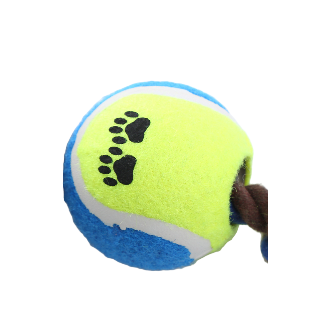 Close-up of the green ball-shaped center with black paw prints and blue trim