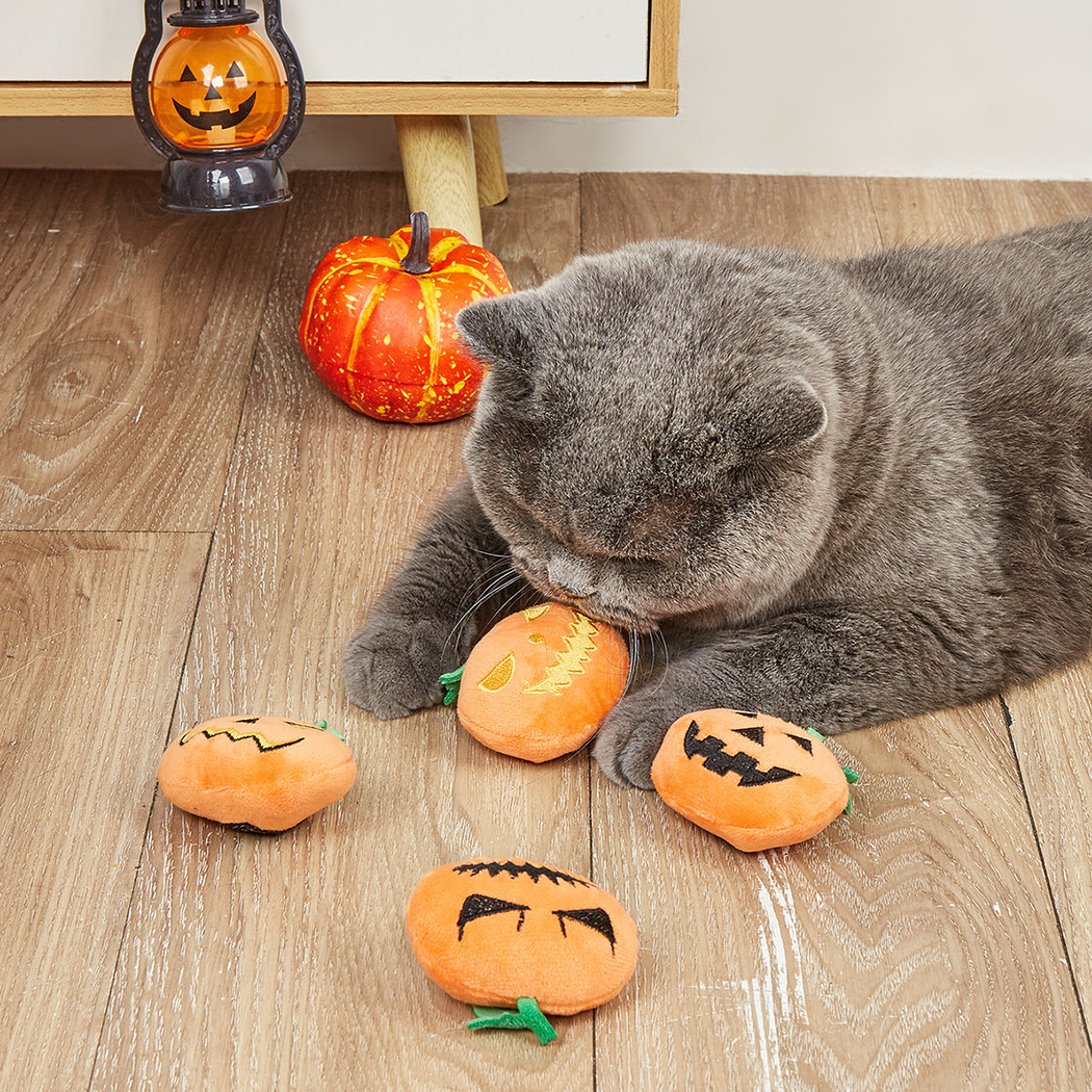 Gray cat playing with orange pumpkin-shaped cat toys in a Halloween setting