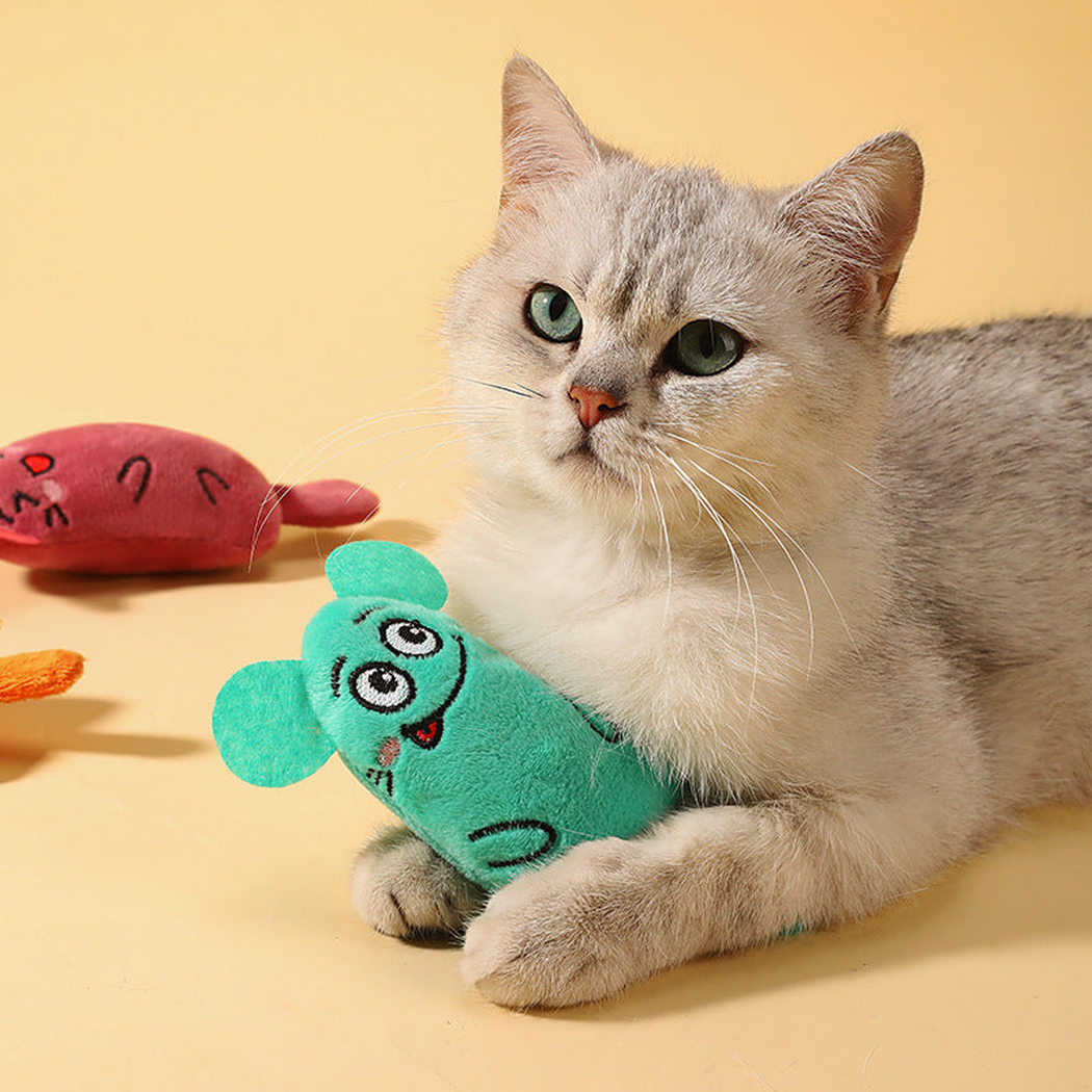 Cat holding a Turquoise character-shaped cat toy