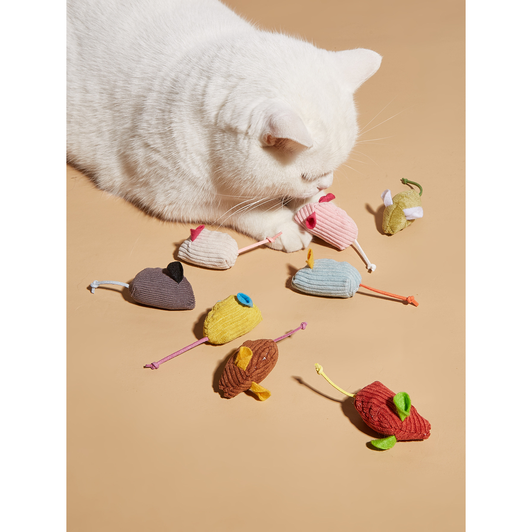 White cat exploring colorful mouse-shaped toys