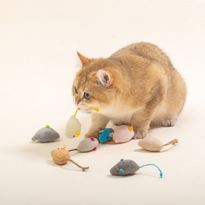 Cat carrying an ivory mouse-shaped toy among assorted colors