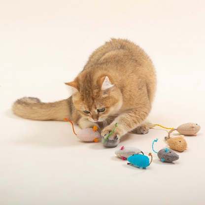 Cat batting assorted mouse-shaped toys in a studio setting