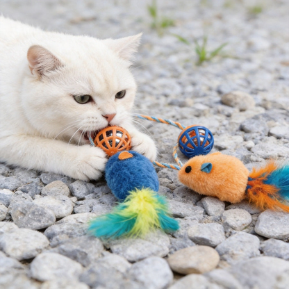 Cat holding the lattice ball of an orange mouse toy beside the blue color
