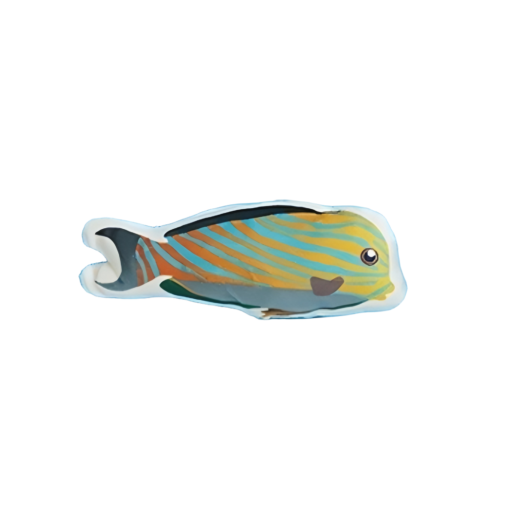 Diagonal Stripe fish-shaped cat toy in teal and orange