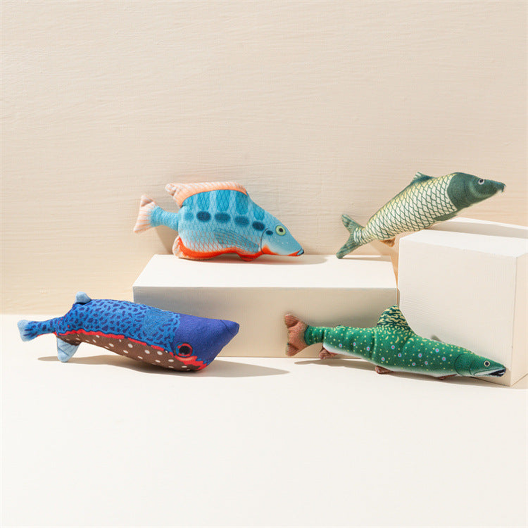 Four colorful fish-shaped cat toys arranged on neutral display blocks