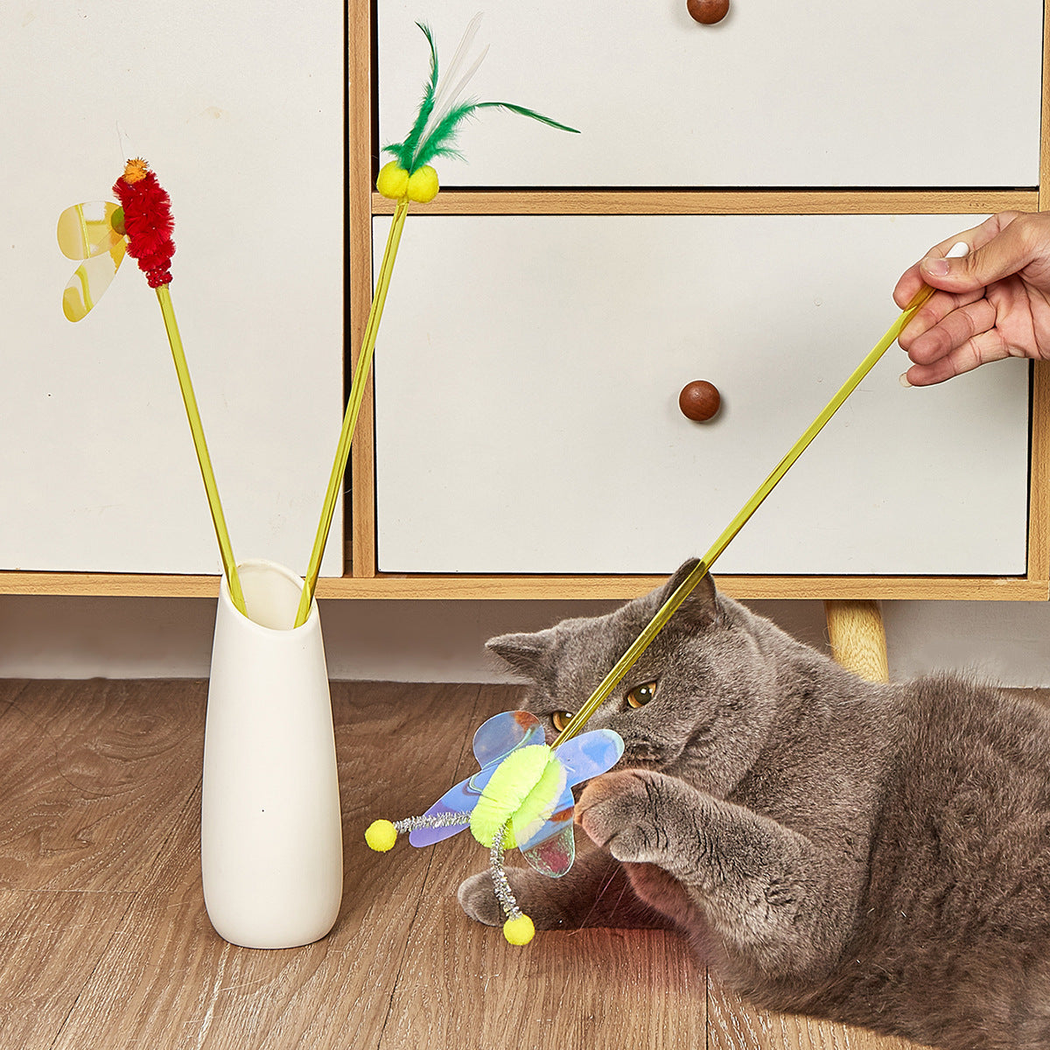 Gray cat playing with an insect-topped cat toy wand indoors