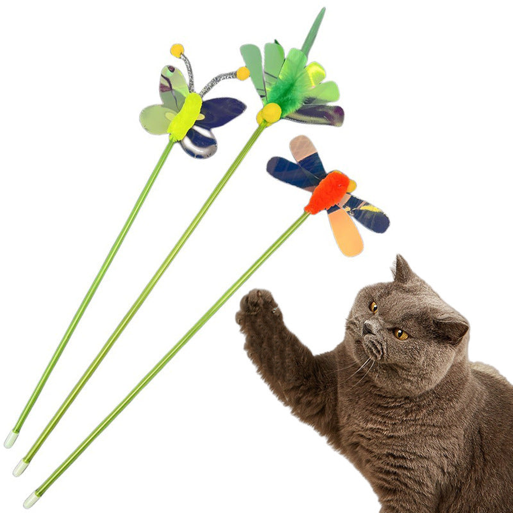 Gray cat reaching toward three insect-topped cat toy wands