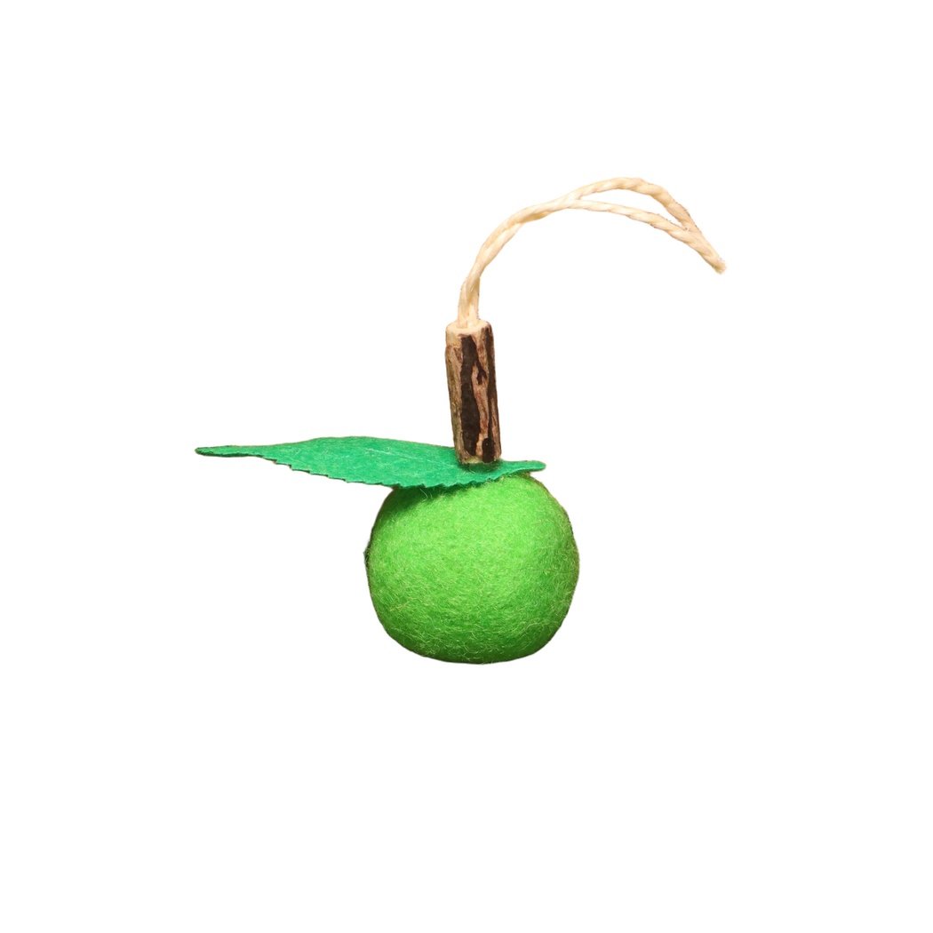 Green fruit-shaped dangling cat toy with green leaf and bell