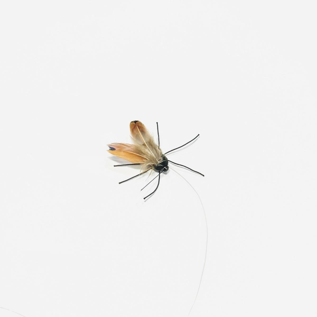 Brown and orange moth-shaped cat toy lure with flexible appendages