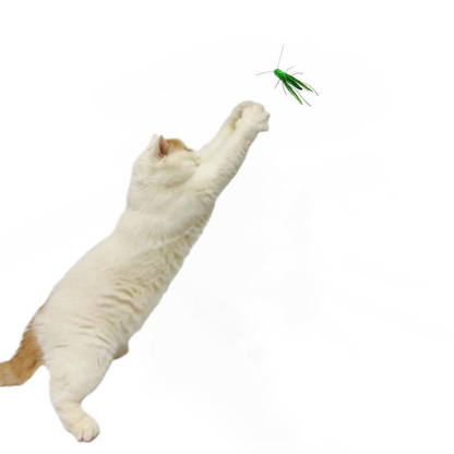 Cat reaching toward a green grasshopper-shaped teaser attachment