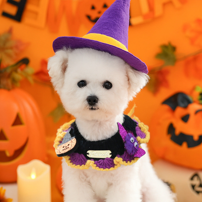 Spiked Pumpkin cat neckwear worn by a white dog in a Halloween pumpkin setting