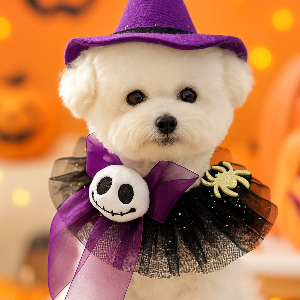 Ghost Spider pet neckwear worn by a white dog in a Halloween setting