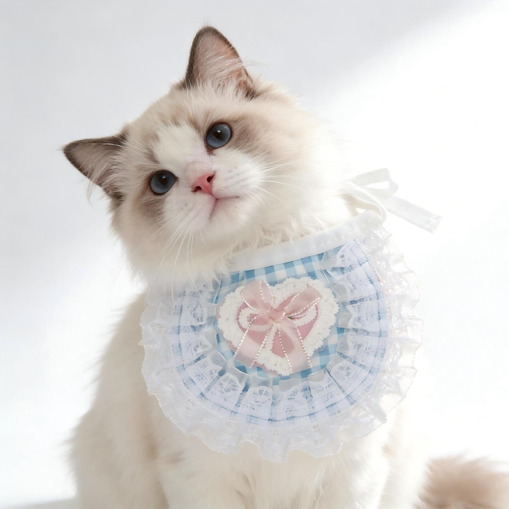 Light blue gingham pet neckwear with lace-look ruffles worn by a white cat