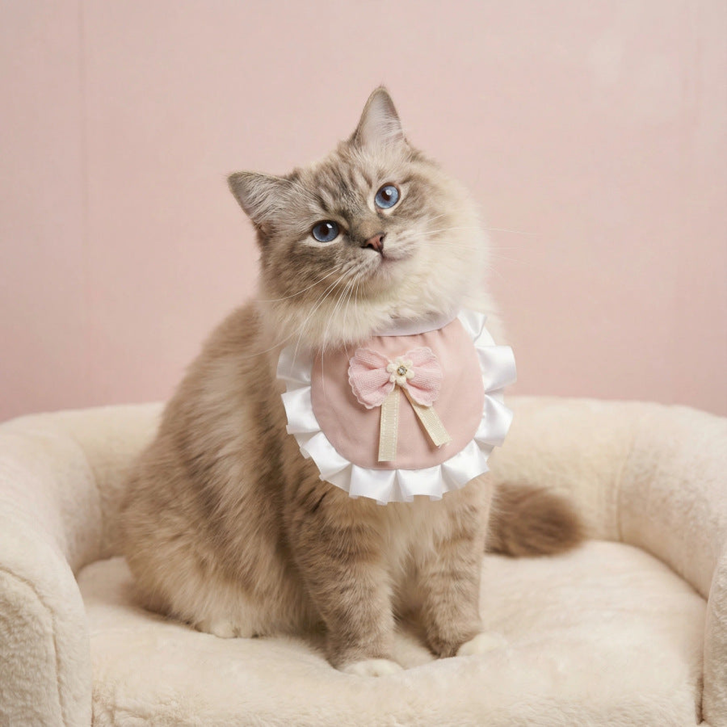 Pink scalloped pet neckwear worn by a cat