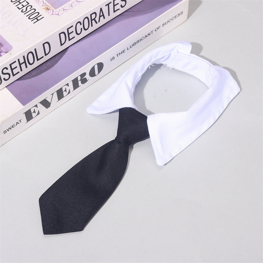 Black tie-style pet neckwear with a white pointed neckband