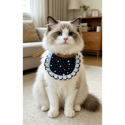 Cat wearing black star-pattern pet neckwear in a full seated view