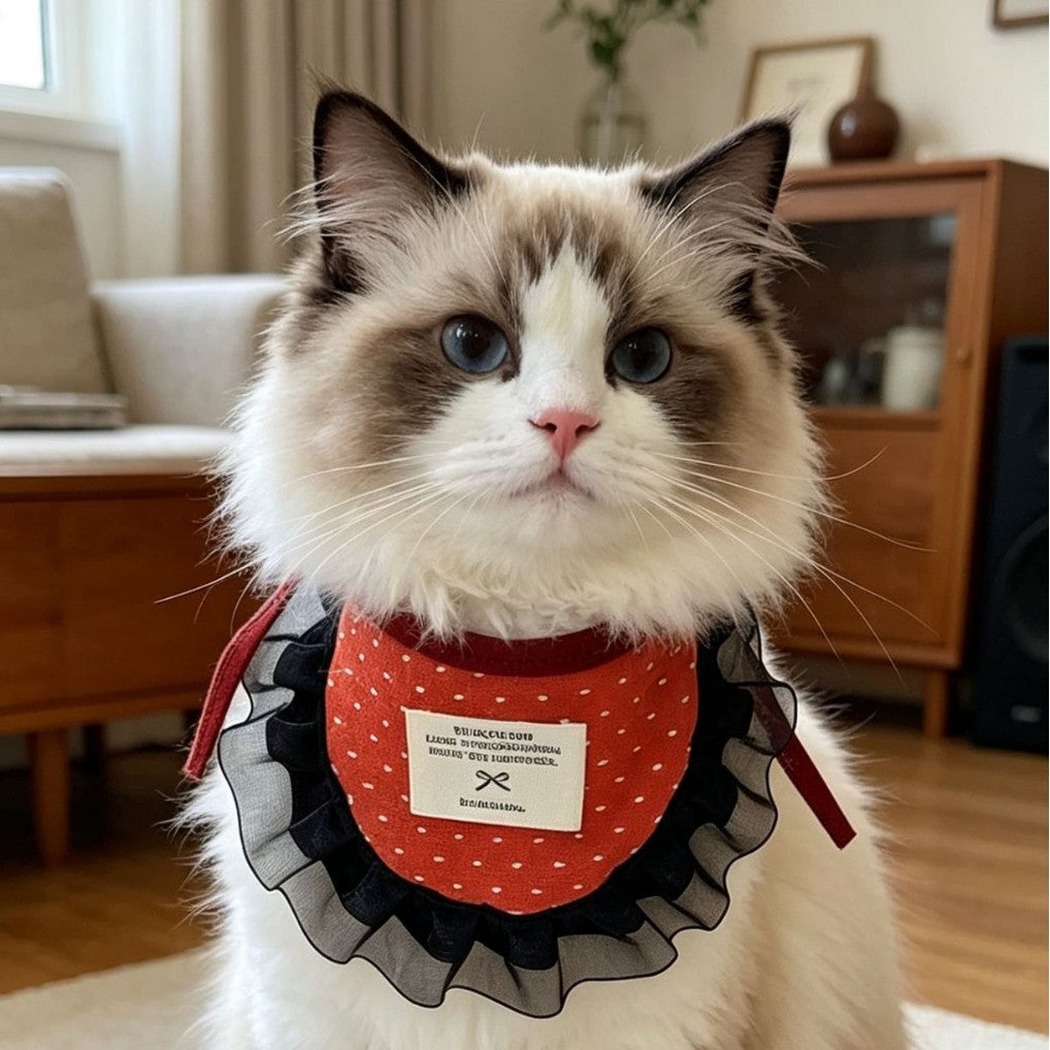 Cat wearing Half Strawberry pet neckwear with a black ruffled edge