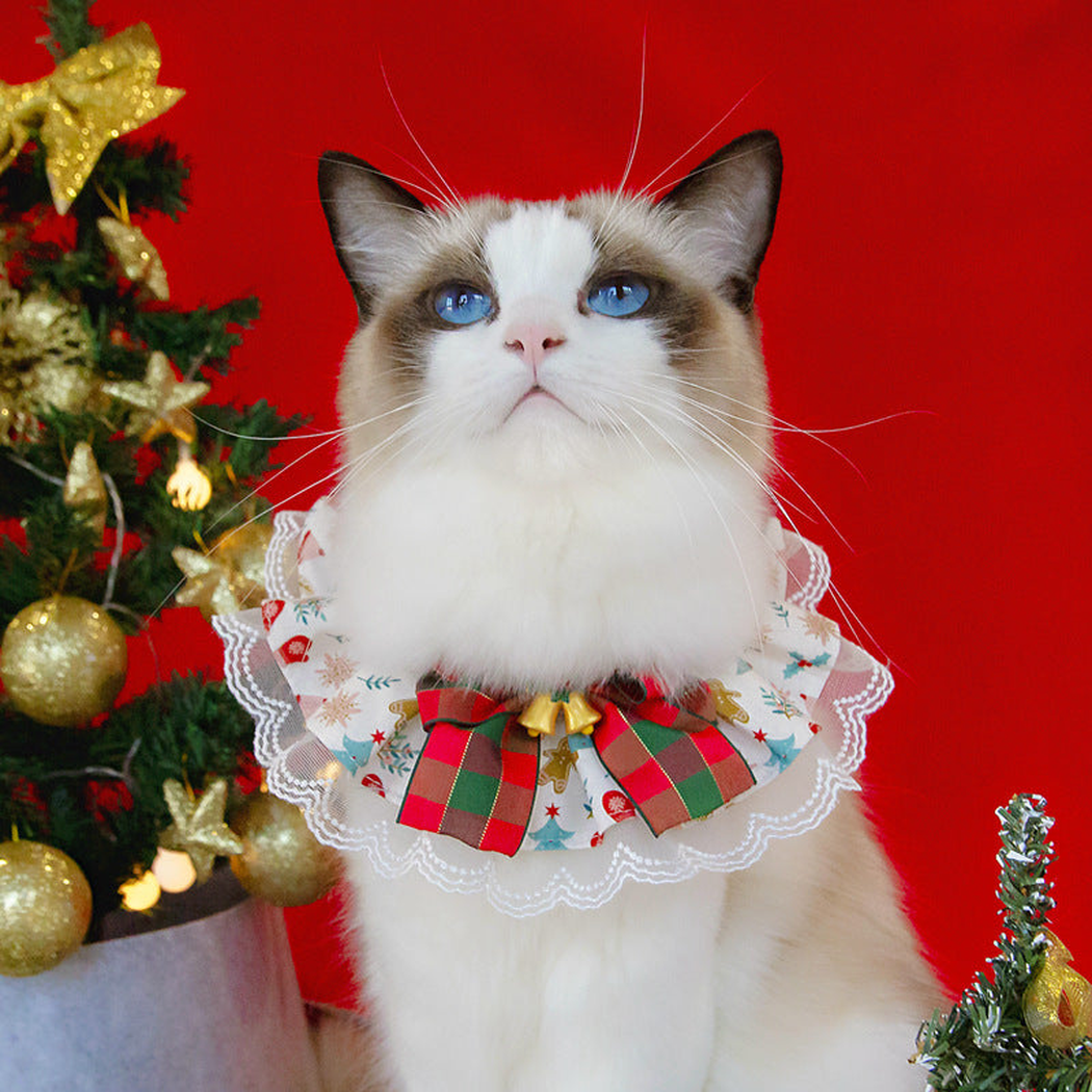 Plaid Bow cat neckwear worn by a cat in a festive setting