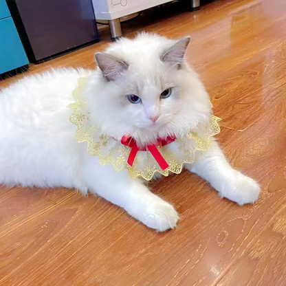 White cat wearing floral lace-look pet neckwear with a red bow