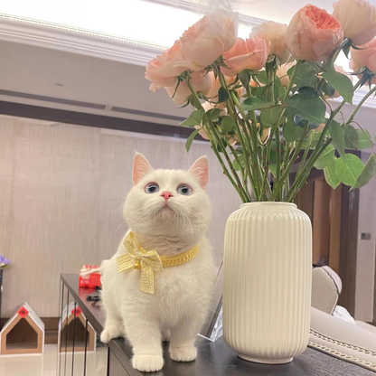 White cat wearing a yellow bow collar beside a flower vase