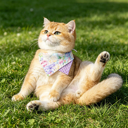Purple floral pet neckwear worn by a cat outdoors