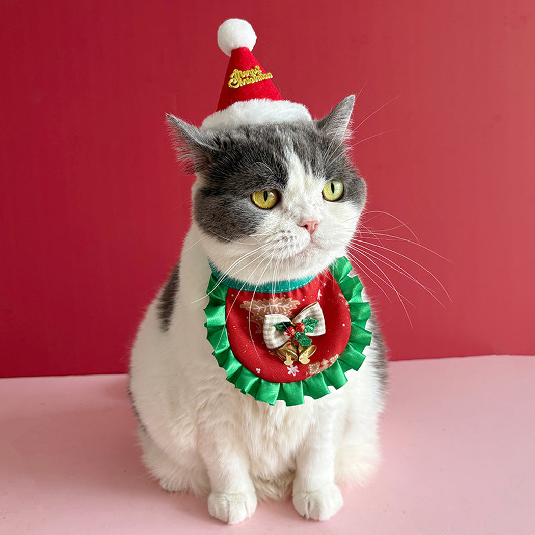 Gray and white cat wearing Gingerbread pet neckwear with green ruffled trim and a bell bow