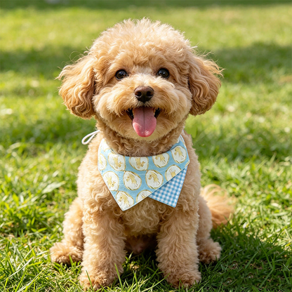 Dog wearing light blue rabbit-pattern pet neckwear outdoors