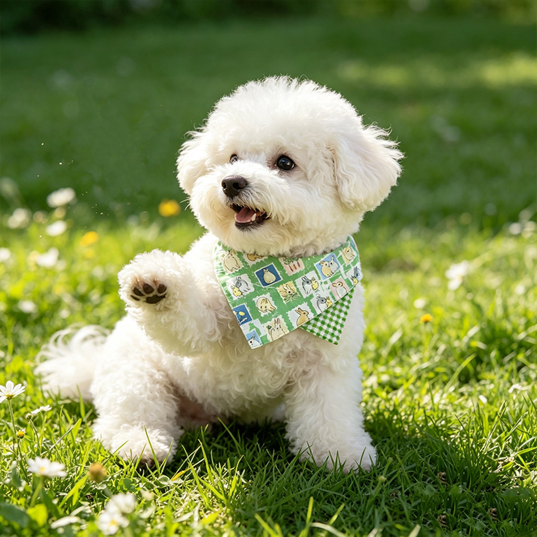 White dog wearing green rabbit-pattern pet neckwear outdoors